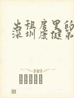 出租房里的交互深圳康健第二部