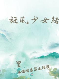 旋风少女结局