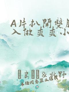 A片扒开双腿进入做爽爽小说