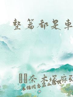 整篇都是车的肉