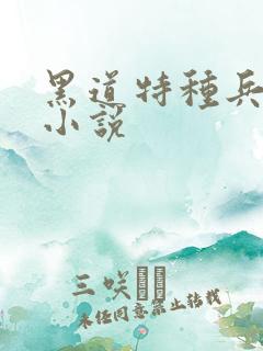 黑道特种兵有声小说