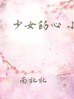 少女的心 小说