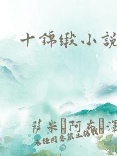 十锦缎小说