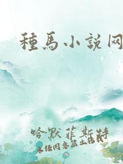 种马小说网