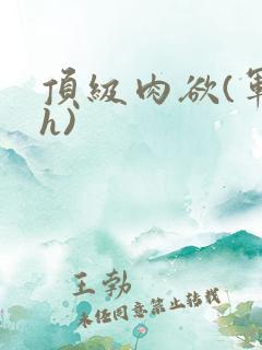 顶级肉欲(军高h)