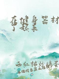 在健身器材上做了起来