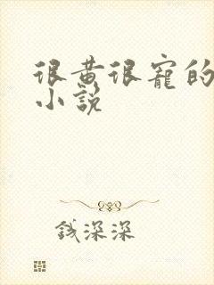 很黄很宠的总裁小说