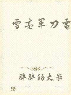 雪亮军刀电视剧