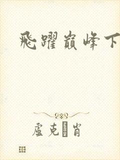 飞跃巅峰下载