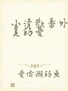 小清欢番外篇完美的爱