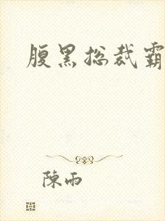 腹黑总裁霸道妻