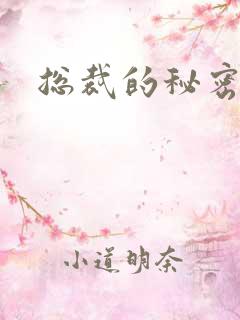 总裁的秘密娇妻