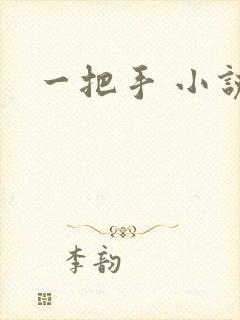 一把手 小说