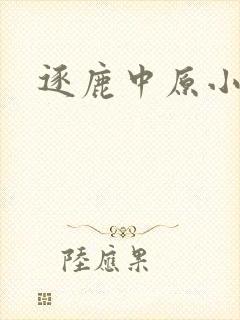 逐鹿中原小说