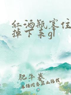 红酒瓶塞住不准掉下来gl