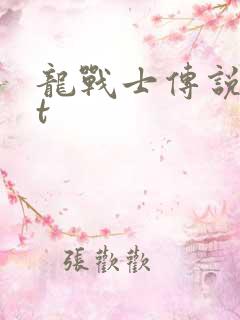龙战士传说txt