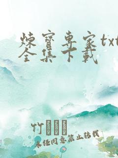 炼宝专家txt全集下载