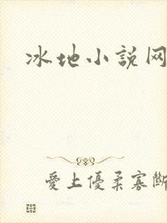 冰地小说网