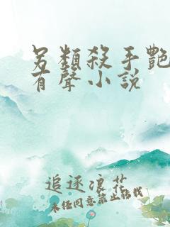 另类杀手艳福星有声小说