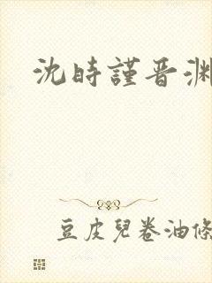 沈时谨晋渊小说