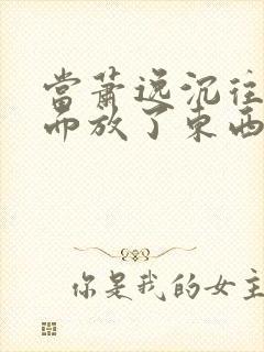 当萧逸沉往你里面放了东西小玩具