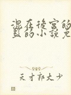混在后宫的假太监的小说免费阅读