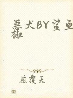 恶犬BY鲨鱼辣椒