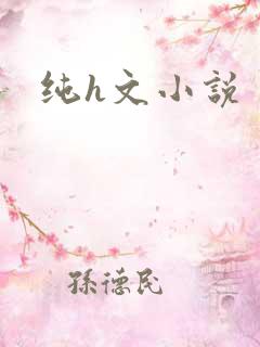 纯h文小说