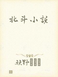 北斗小说