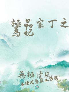 极品家丁之册母为妃