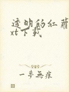 透明的红萝卜txt下载