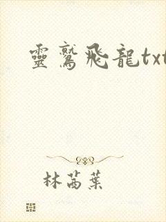 灵鹫飞龙txt