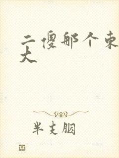二傻那个东西真大