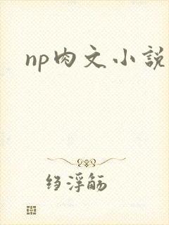 np肉文小说