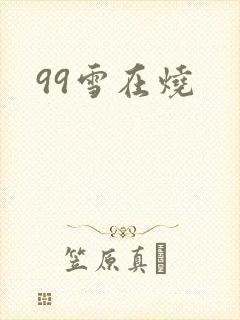 99雪在烧