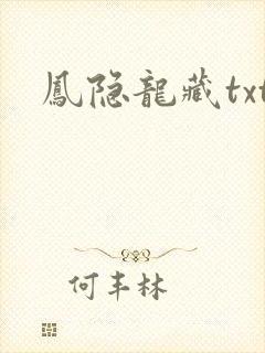 凤隐龙藏txt