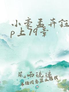 小豪孟卉钰慧三p上79章