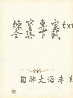 炼宝专家txt全集下载