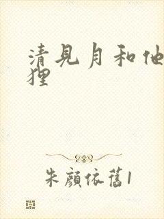 清见月和他的狐狸