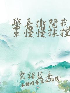 学长撕开我的乳罩慢慢揉捏小说