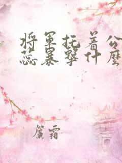 将军托着公主娇蕊暴击什么小说6