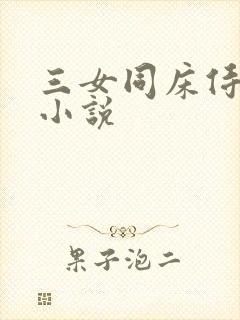 三女同床侍一夫小说