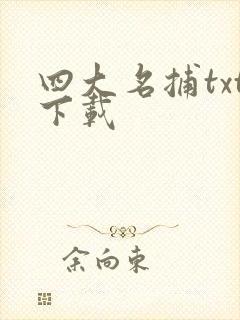 四大名捕txt下载