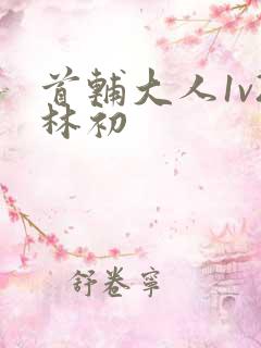 首辅大人1v2林初