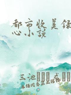 都市收美录宁素心小说