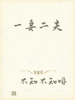 一妻二夫