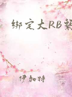 绑定大RB系统