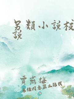 另类小说校园小说