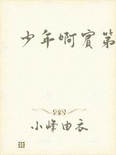 少年啊宾第二部