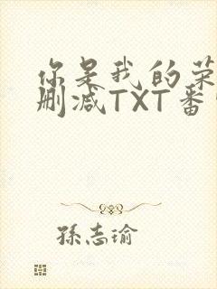 你是我的荣耀未删减TXT番外